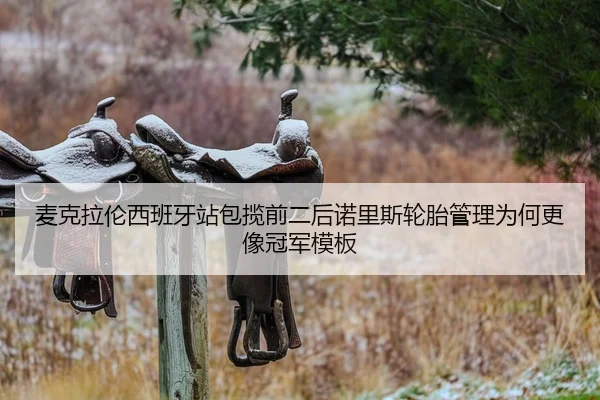 mai-ke-la-lun-xi-ban-ya-zhan-bao-lan-qian-er-hou-nuo-li-si-lun-tai-guan-li-wei-he-geng-xiang-guan-jun-mu-ban-2-592.jpg