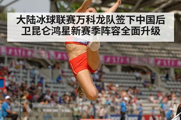 大陆冰球联赛万科龙队签下中国后卫昆仑鸿星新赛季阵容全面升级